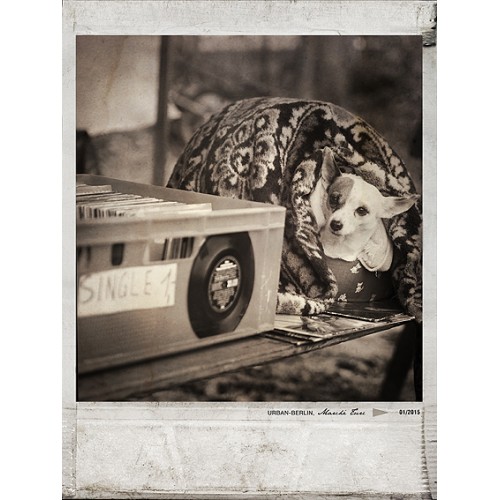 Polaroid, Berlin - Série Urban Polaroid, Berlin - Série Urban