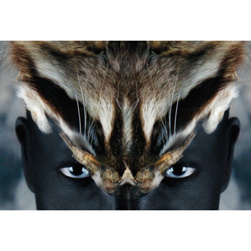Série Africa - Sonja Animal 2 Série Africa - Sonja Animal 2