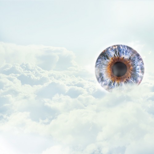 Oeil de Cécile de France Oeil de Cécile de France