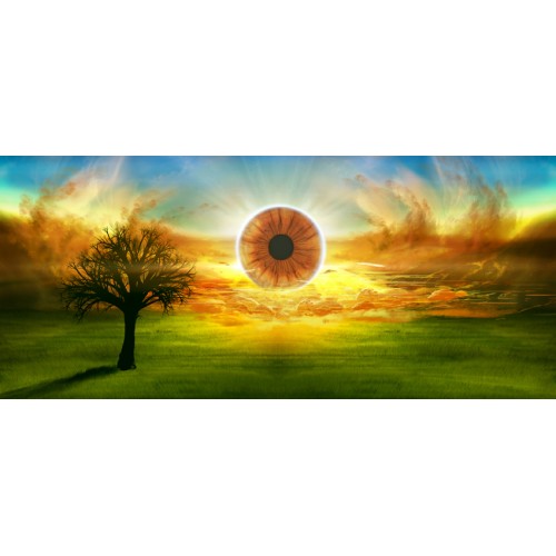 Oeil de Robert Hossein Oeil de Robert Hossein