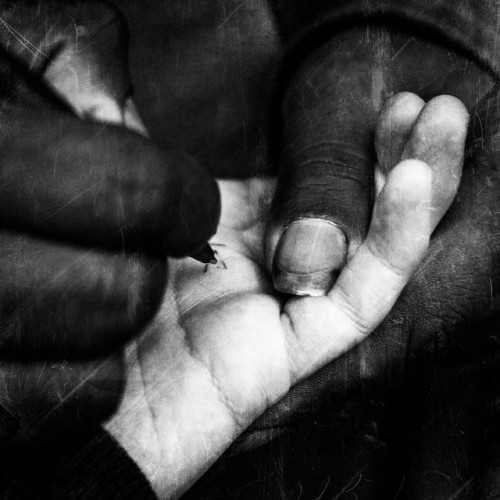 série Homeless - 7 série Homeless - 7